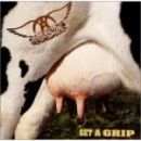 Disco Get a grip de Aerosmith