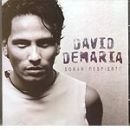 álbum Soñar despierto de David DeMaria