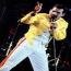 Foto 11 de Freddie Mercury