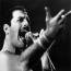 Foto 6 de Freddie Mercury