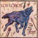 álbum How Will the Wolf Survive? de Los Lobos