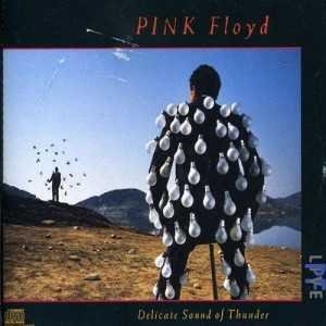 álbum Delicate sound of thunder de Pink Floyd