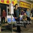Breach - The Wallflowers