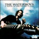 álbum A Rock in the Weary Land de The Waterboys