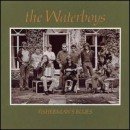 álbum Fisherman's Blues de The Waterboys