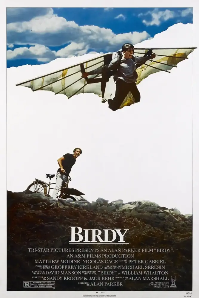 Cartel ampliado de Birdy