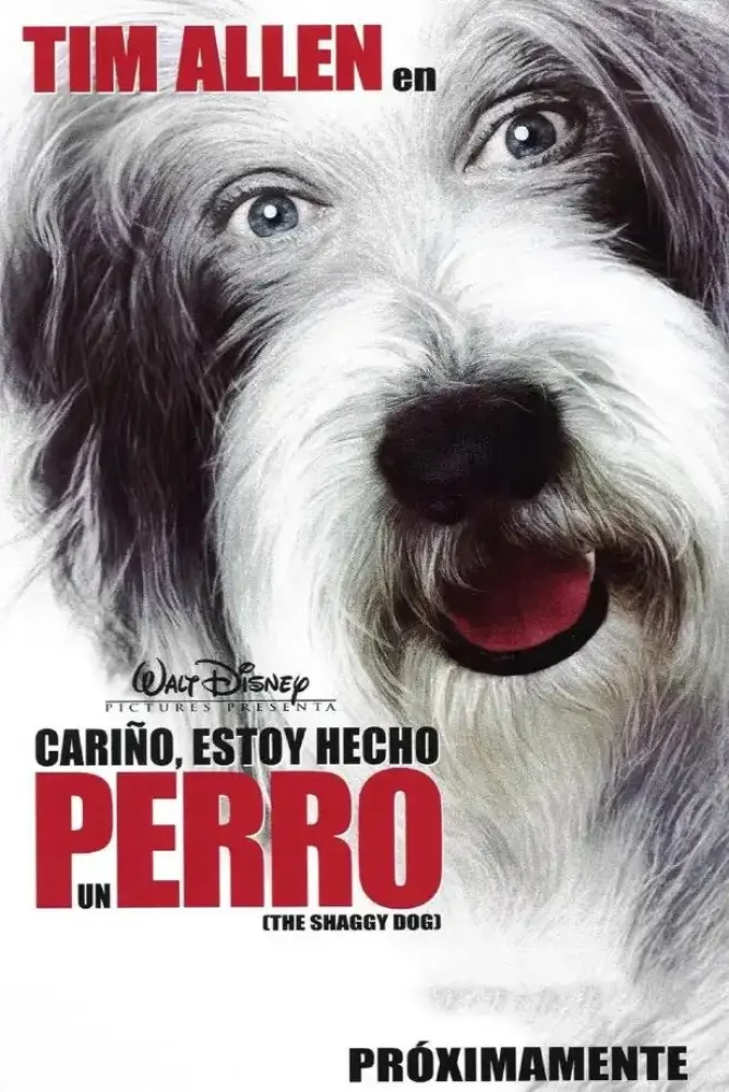 Cartel ampliado de Cariño, estoy hecho un perro