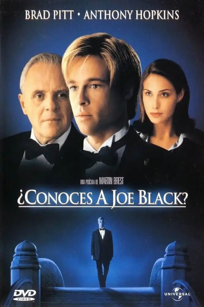 Cartel ampliado de ¿Conoces a Joe Black?