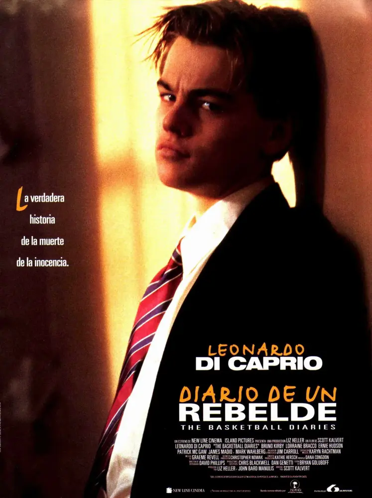 Cartel ampliado de Diario de un rebelde
