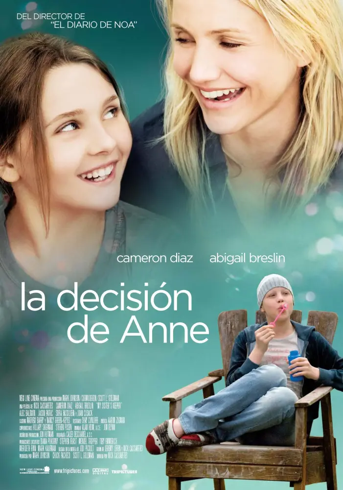 Cartel ampliado de La decisión de Anne