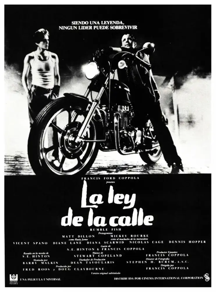 Cartel ampliado de La ley de la calle