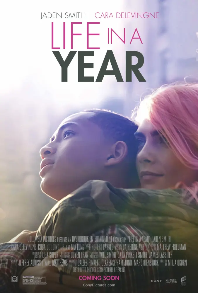Cartel ampliado de Life in a Year