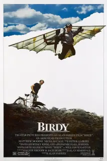 Cartel de Birdy