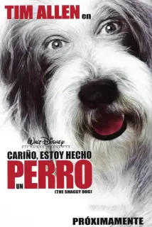 Cartel de Cariño, estoy hecho un perro