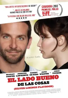 Cartel de El lado bueno de las cosas (Silver Linings Playbook)