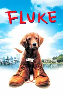Cartel de Fluke