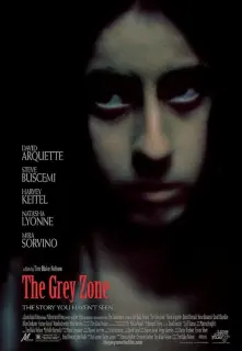 Cartel de La Zona Gris