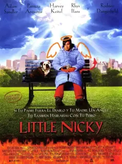 Cartel de Little Nicky