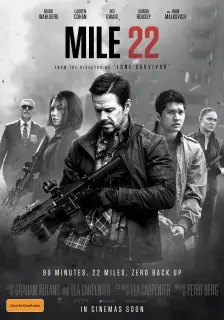 Cartel de Milla 22