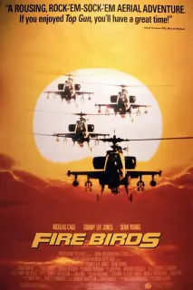 Cartel de Pájaros de fuego