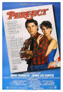 Cartel de Perfect