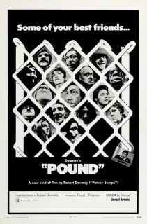 Cartel de Pound