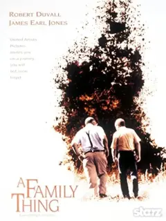 Cartel de Un asunto de familia