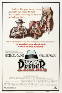 Cartel de Un detective curioso