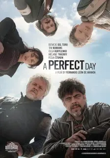 Cartel de Un día perfecto