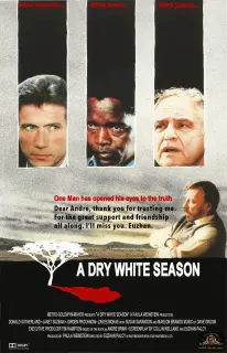 Cartel de Una árida estación blanca