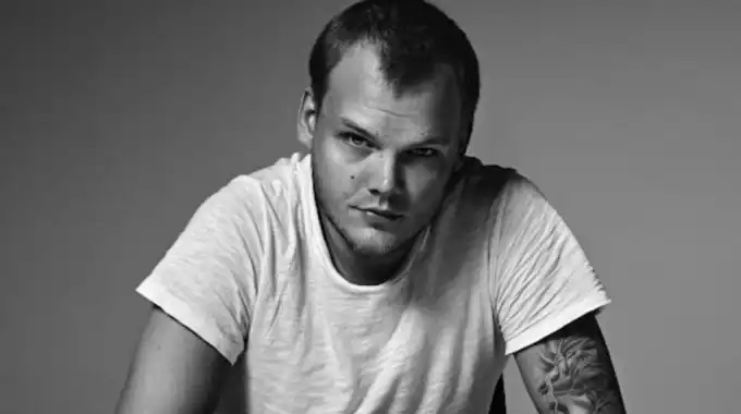 Biografía de Avicii