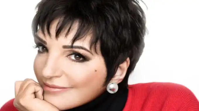 Liza Minelli: Discos, letras y canciones