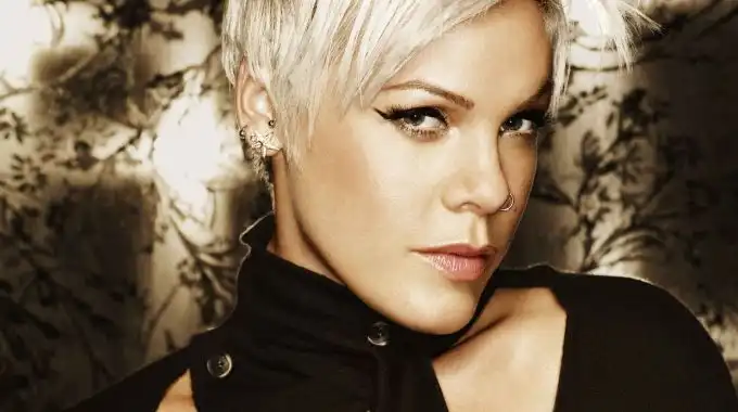 Biografía de Pink