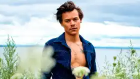 Harry Styles vendrá a España en próximo año con su gira Love on tour