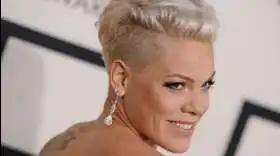 Pink anuncia nuevo disco, Hurts to be human