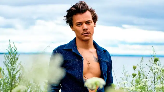 Harry Styles vendrá a España en próximo año con su gira Love on tour Harry Styles vendrá a España en próximo año con su gira Love on tour
