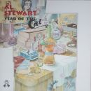 Year Of The Cat