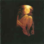 álbum Nothing Safe: Best of the Box de Alice In Chains