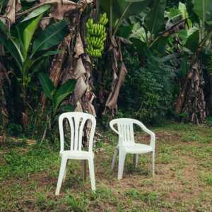 álbum Debí tirar más fotos de Bad Bunny álbum Debí tirar más fotos de Bad Bunny