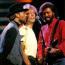 Foto 13 de Bee Gees