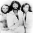 Foto 3 de Bee Gees