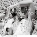 álbum Vespertine de Björk