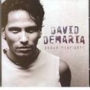 Soñar despierto - David DeMaria