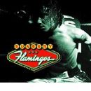 Flamingos - Enrique Bunbury