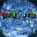 I Say, I Say, I Say - Erasure