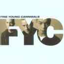 álbum The Platinum Collection de Fine Young Cannibals álbum The Platinum Collection de Fine Young Cannibals