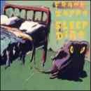álbum Sleep Dirt de Frank Zappa álbum Sleep Dirt de Frank Zappa