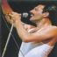 Foto 1  de Freddie Mercury