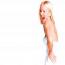 Foto 4 de Geri Halliwell