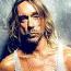 Foto 9 de Iggy Pop